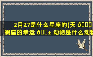 2月27是什么星座的(天 🕊 蝎座的幸运 🐱 动物是什么动物)